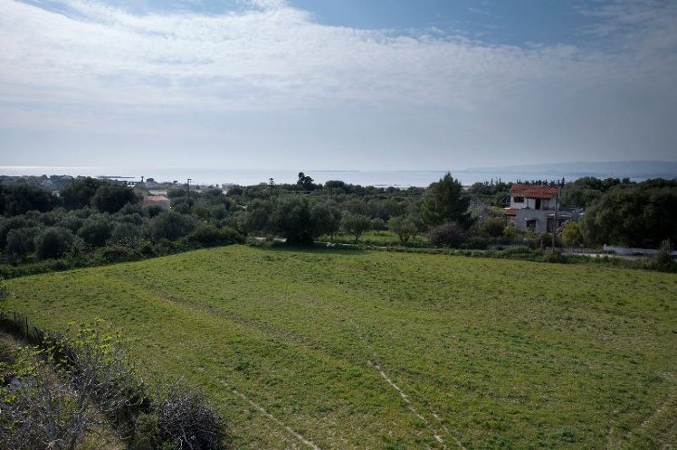 General view