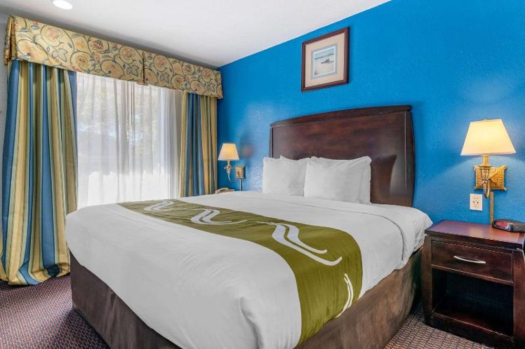 SUITE KING BED NON SMOKING Room