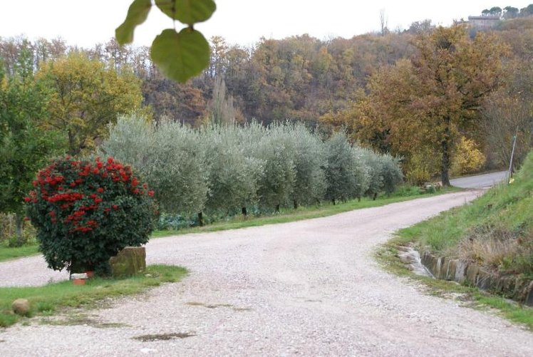 General view
