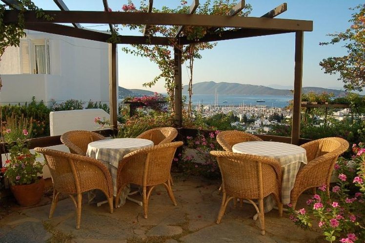 Terrace