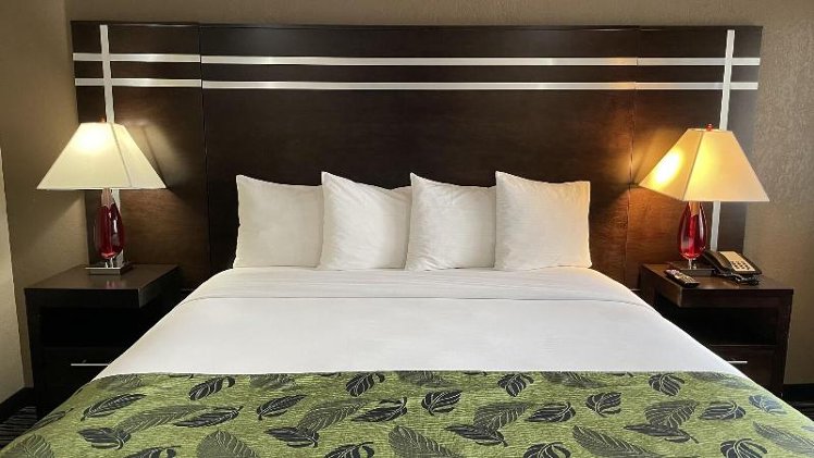 DOUBLE Accessible KING SIZE BED Room