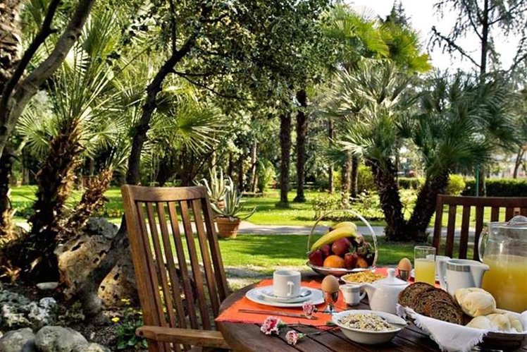 Holiday image