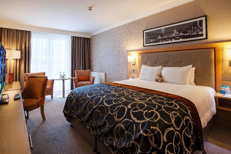 DOUBLE EXECUTIVE KING BED Room