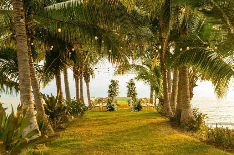Holiday image