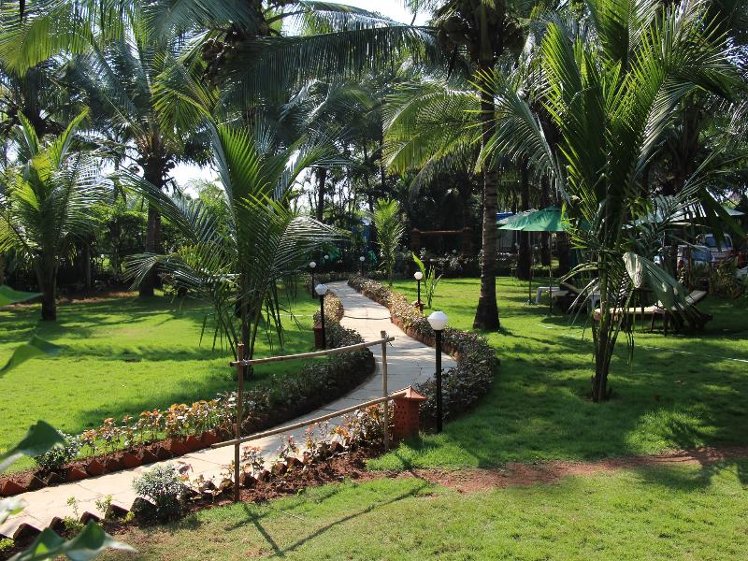 General view