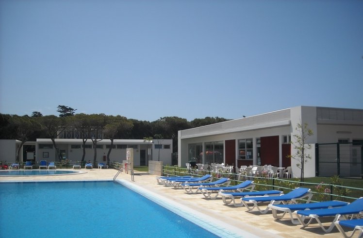 Holiday image