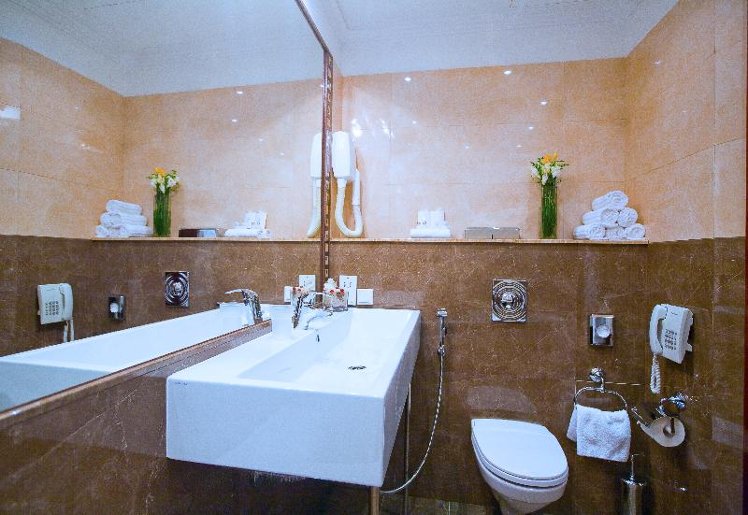 SUITE CAPACITY 1 Room