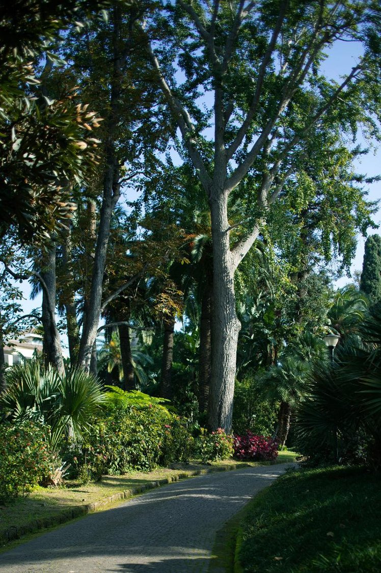 General view