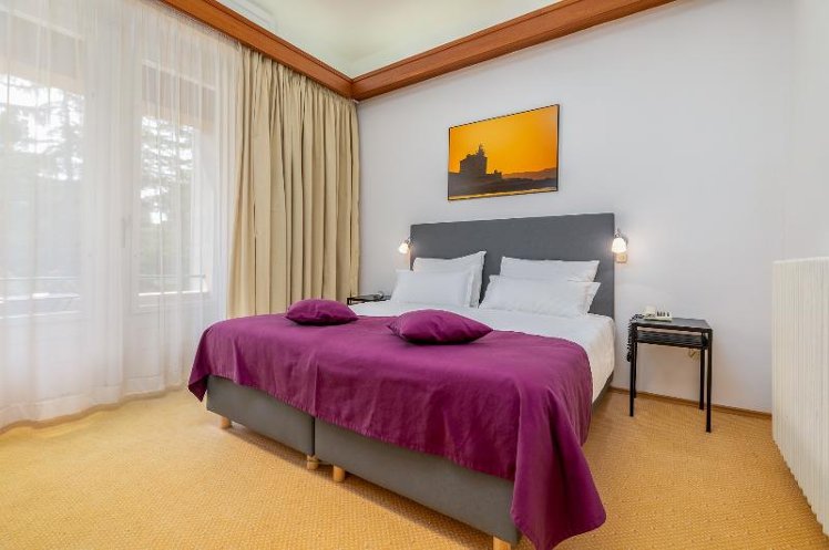 DOUBLE PARK VIEW WITH BALCONY Room