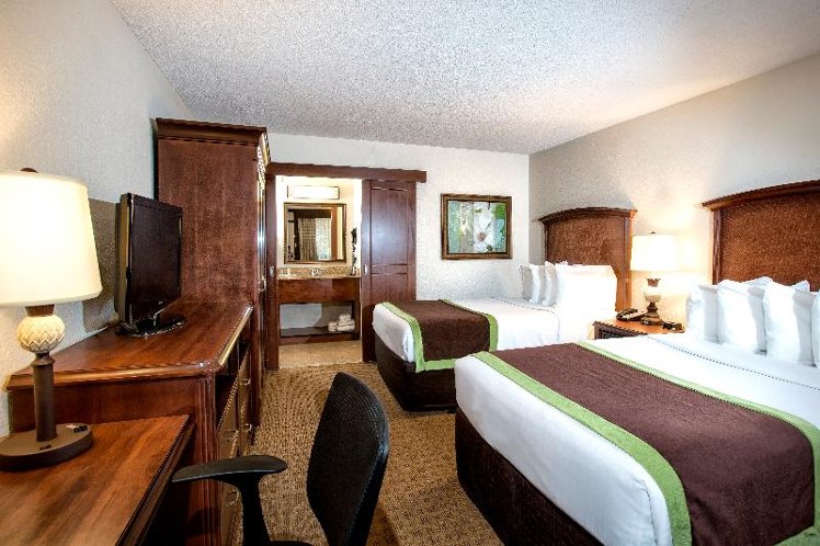 DOUBLE TWO DOUBLE BEDS Room