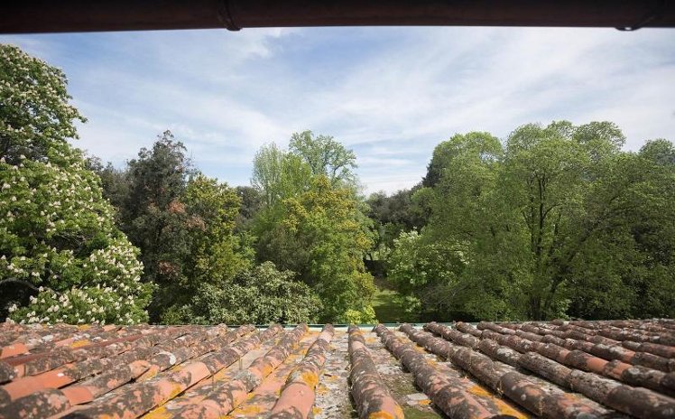 General view