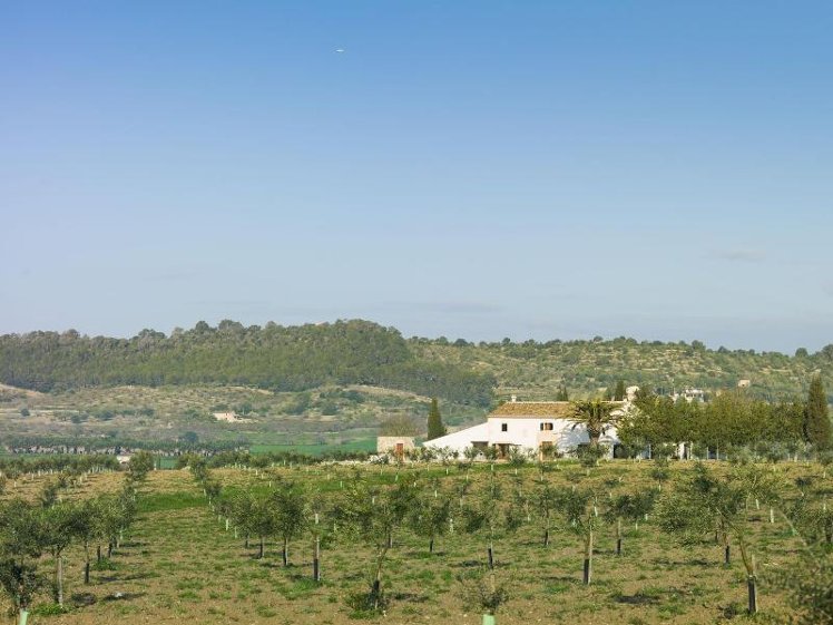 General view