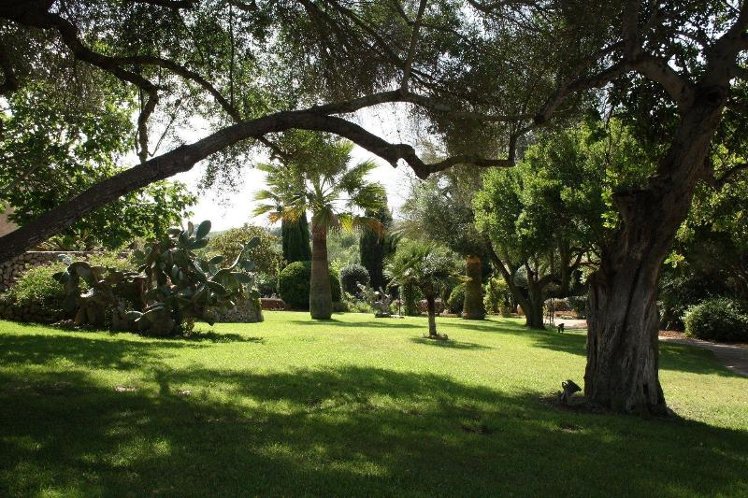 General view