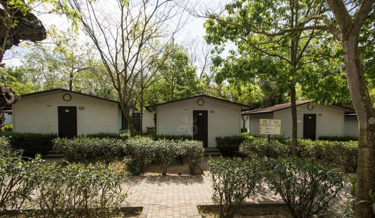 BUNGALOW CAPACITY 2 Room