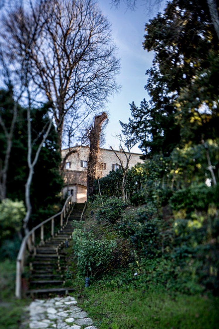General view