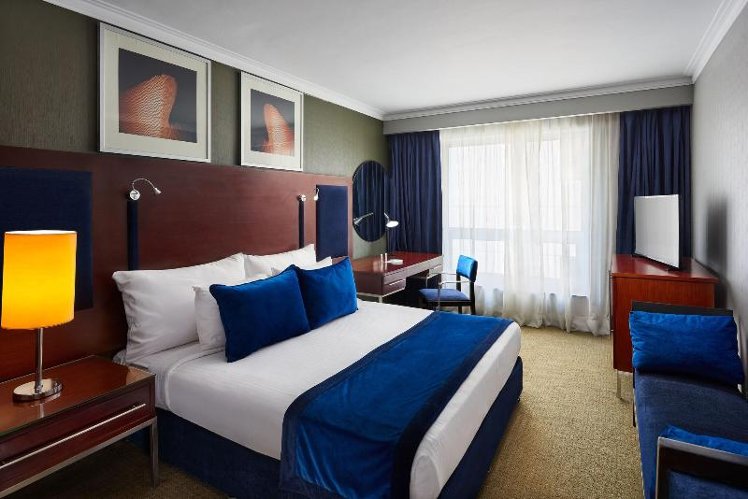 SUITE EXECUTIVE KING BED Room
