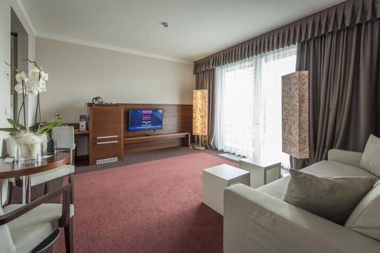 SUITE WITH TERRACE Room