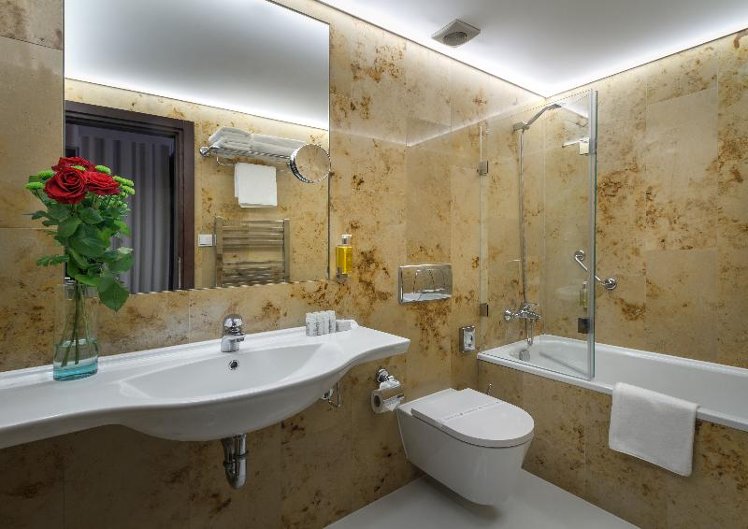 Double or Twin STANDARD Room