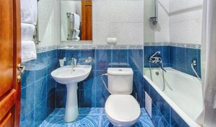 DOUBLE SINGLE USE STANDARD Room