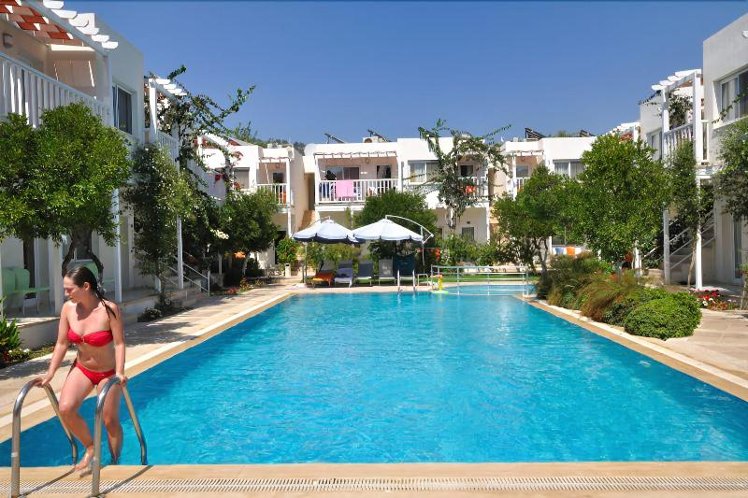 Holiday image