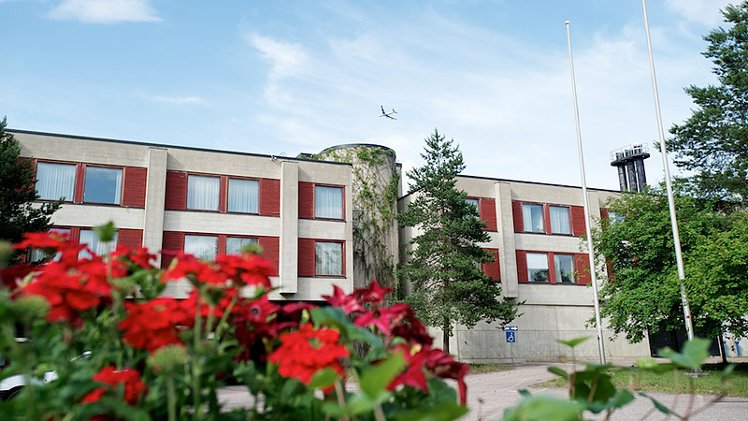 Slide image