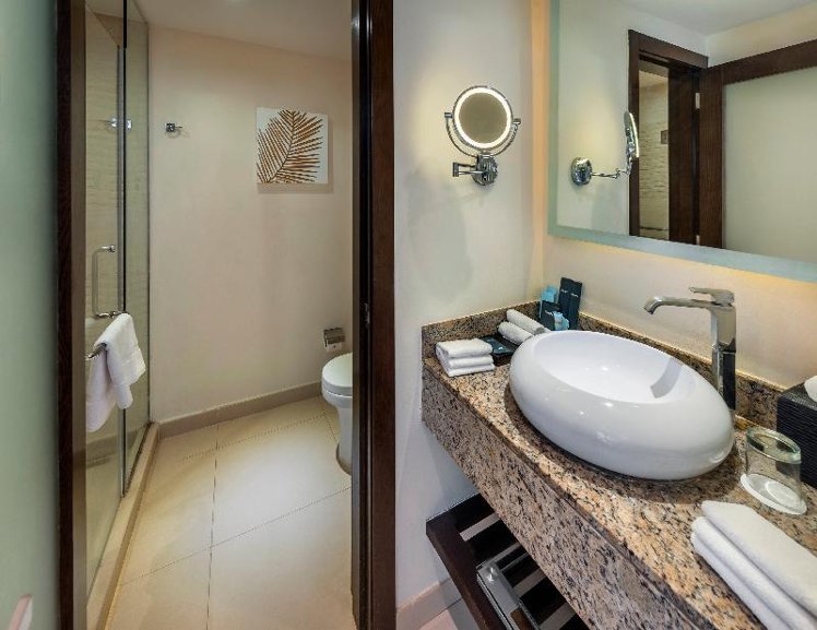 SUITE LUXURY ONE BEDROOM Room