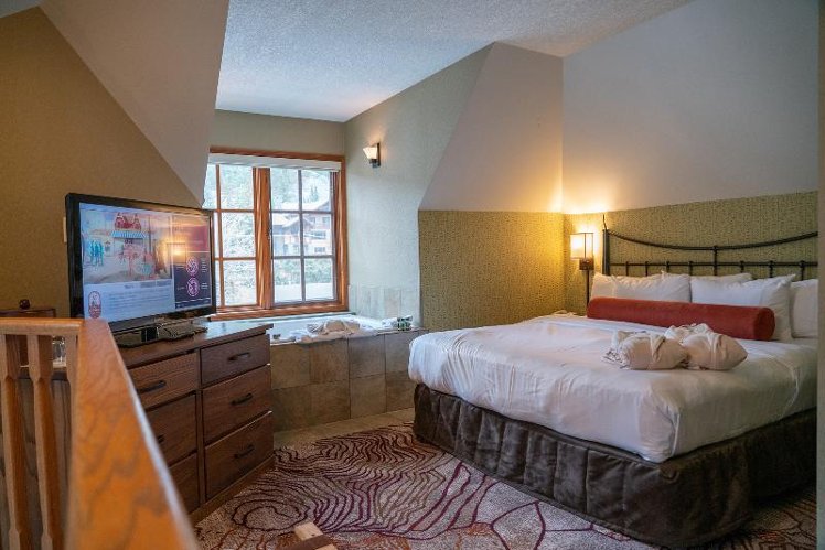 SUITE DELUXE CAPACITY 2 Room