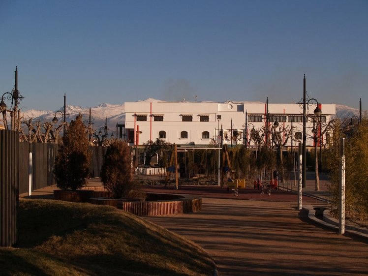 Slide image