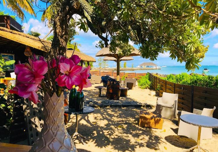 Flowers of Paradise
