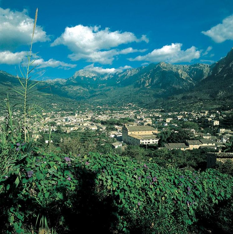 General view