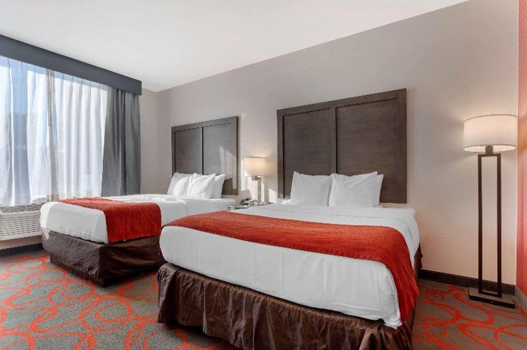DOUBLE TWO QUEEN BEDS Room
