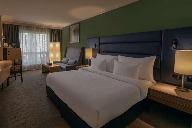 DOUBLE EXECUTIVE KING BED Room