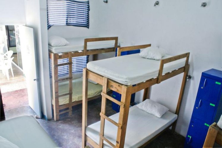 Bed in dormitory FEMALE ROOM Room