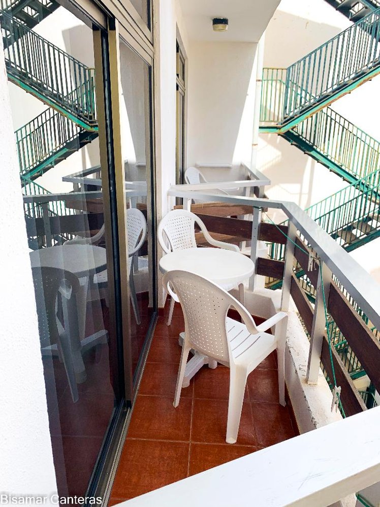STUDIO GARDEN VIEW Room