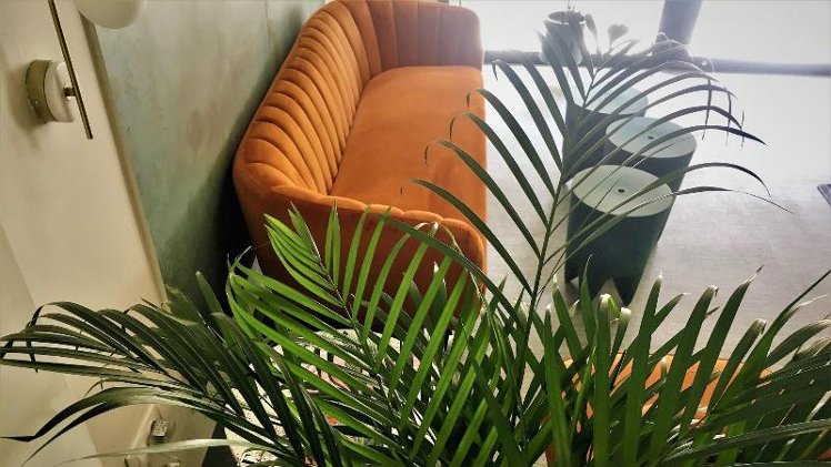 B&B Mare de Deu Jardines del Turia