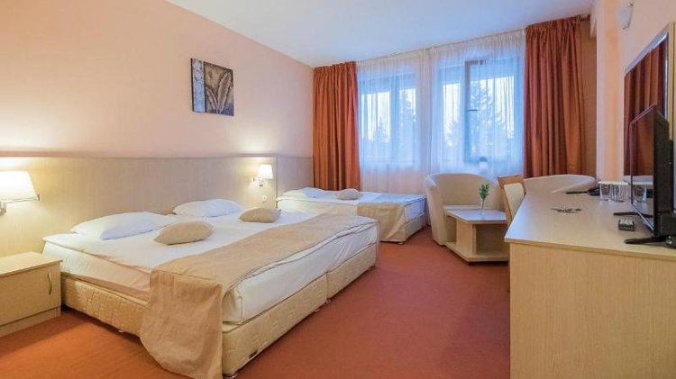 TRIPLE STANDARD Room