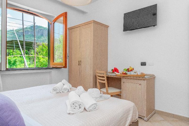 DOUBLE GARDEN VIEW Room