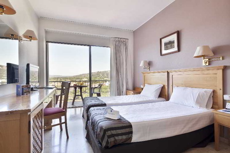 Double or Twin MOUNTAIN VIEW Room