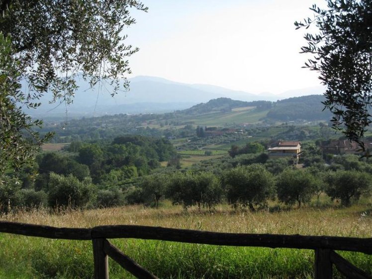 General view