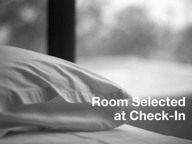 Double or Twin STANDARD Room