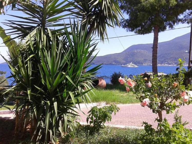 Holiday image