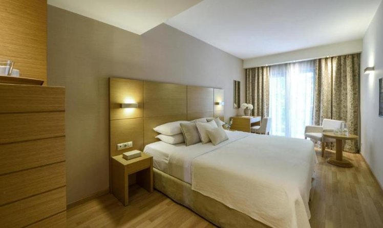 DOUBLE SINGLE USE DELUXE Room
