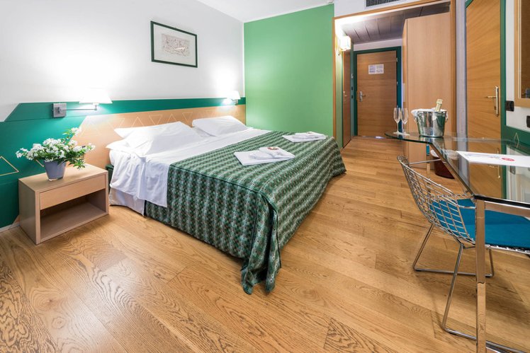 DOUBLE SINGLE USE STANDARD Room