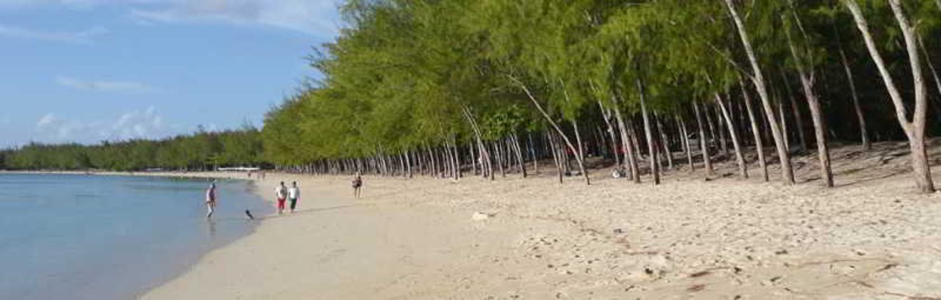 Holiday image