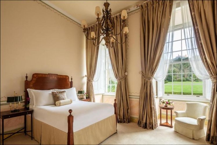 DOUBLE PREMIUM KING BED Room