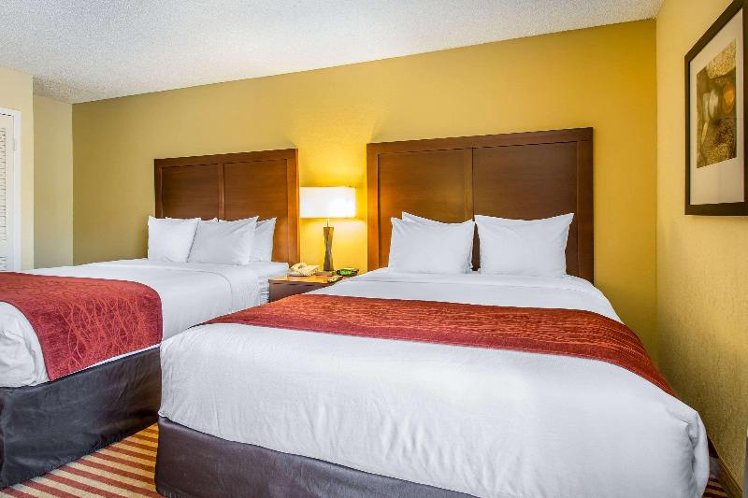 DOUBLE TWO QUEEN BEDS Room