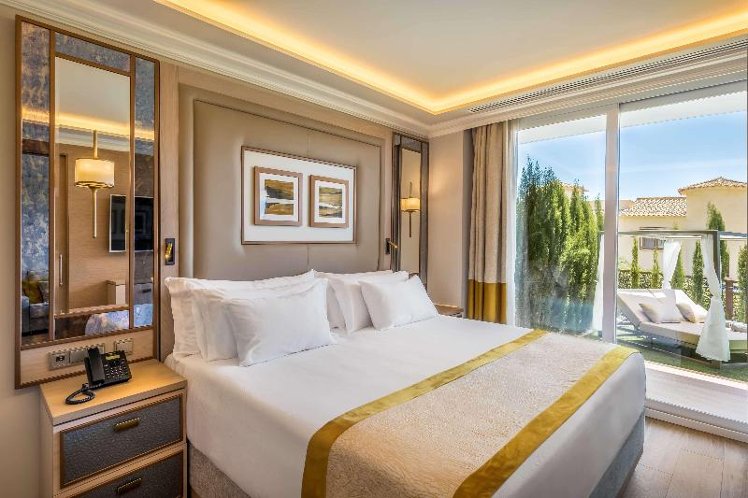 Room DELUXE GARDEN VIEW Room