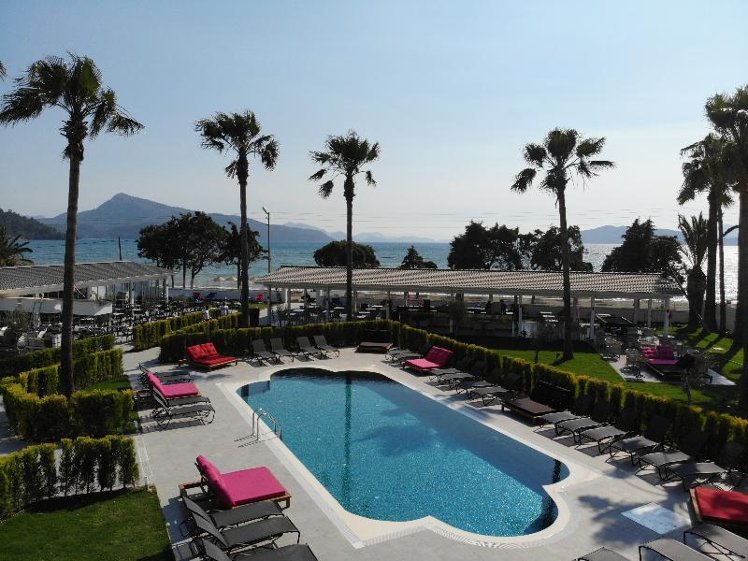 Holiday image