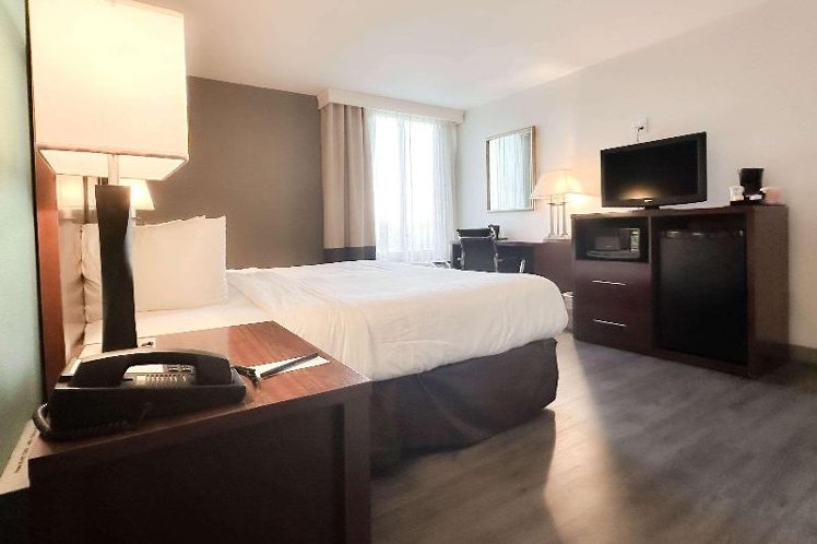 DOUBLE KING SIZE BED Room