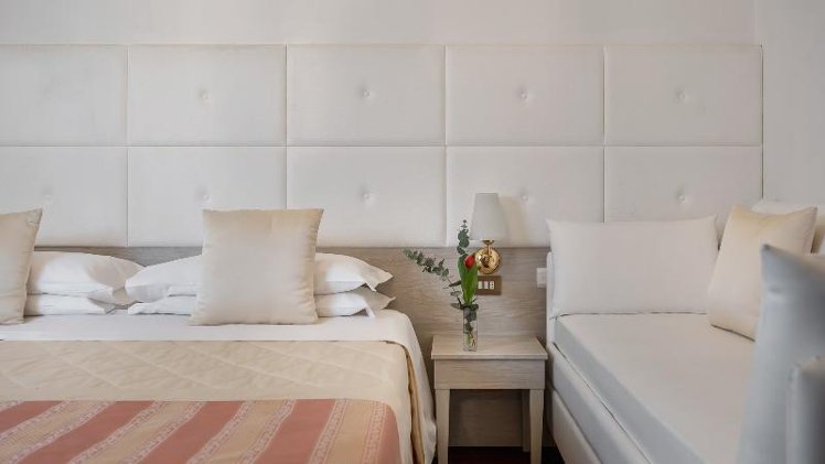 DOUBLE SINGLE USE DELUXE Room
